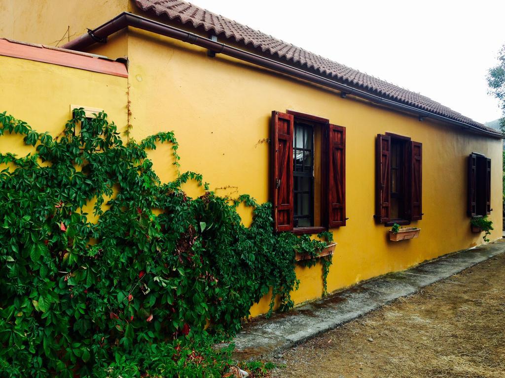 Casa Rural Cachispita Teror Ngoại thất bức ảnh